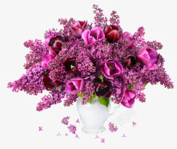 紫色花卉盆栽素材