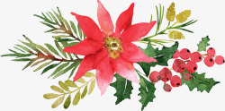 圣诞节花卉手绘花卉花草圣诞节装饰高清图片