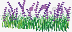 紫色的花丛清新花坪高清图片
