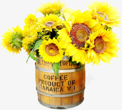 黄色木桶黄色创意向日葵木桶植物盆栽高清图片
