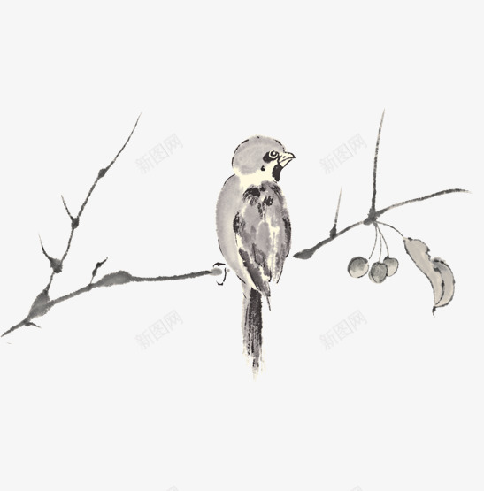 站在树枝上的鸟png免抠素材_新图网 https://ixintu.com 卡通 叶子 小鸟 手绘 枝干 白色 羽毛 翅膀 黑色