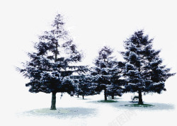 雪树景观马甲海报素材