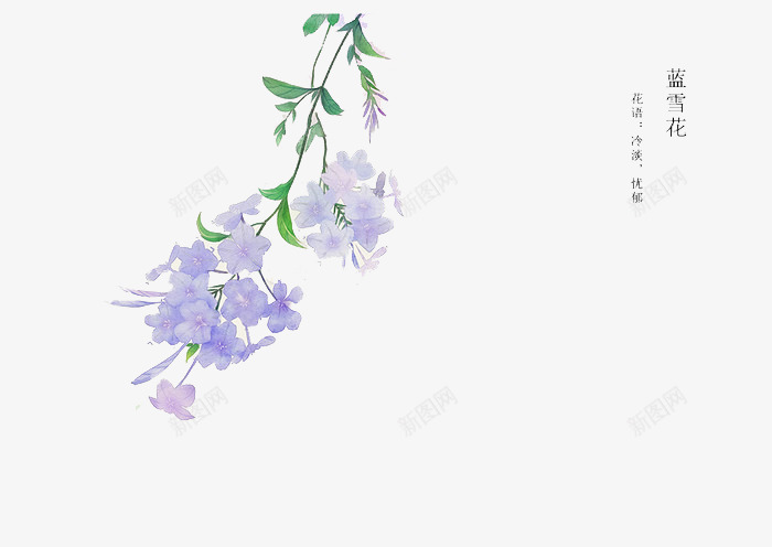 手绘花卉png免抠素材_新图网 https://ixintu.com 卡通 手绘 手绘插画 手绘素材 插画 蓝雪花