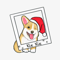 圣诞话框卖萌的狗狗高清图片
