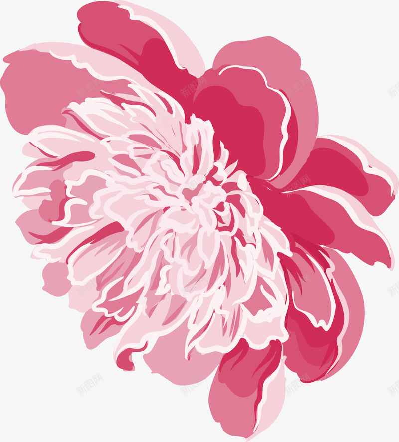 粉色菊花png免抠素材_新图网 https://ixintu.com 手绘 渐变 盛开 粉色 花朵 花瓣 菊花 装饰