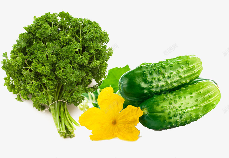 两种蔬菜psd免抠素材_新图网 https://ixintu.com 绿色 蔬菜 青菜 黄瓜 黄花