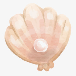 珍珠贝素材