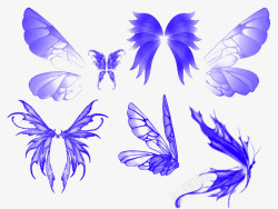 展开双翅各种可爱的蝴蝶翅膀高清图片