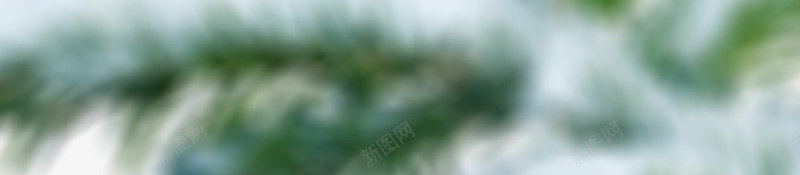 白雪覆盖的松柏树枝png免抠素材_新图网 https://ixintu.com 冬季 叶子 手绘 松柏 树枝 植物 白雪覆盖 绿植