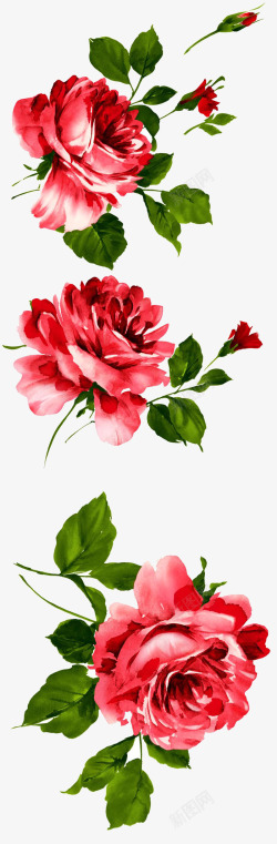 红花水彩花卉合集高清图片