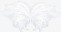 白色漂亮羽毛翅膀素材