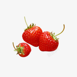 鲜果草莓素材