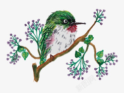 水彩手绘鸟紫色丁香花鸟水彩唯美清新绿叶与高清图片