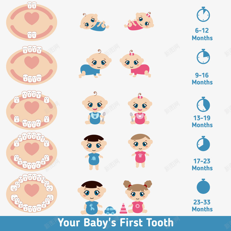 婴儿卡通牙齿png免抠素材_新图网 https://ixintu.com 医疗人体 医疗保健 可爱牙齿 可爱表情 图示 婴儿牙齿 孩子牙齿 教育 牙齿插画 矢量素材 结构人器官 解刨