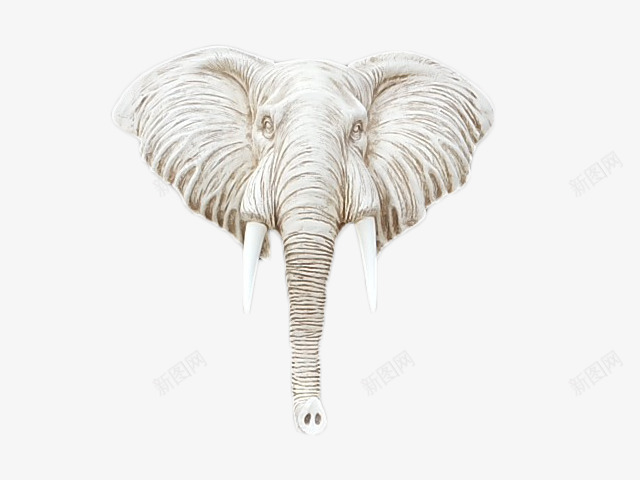 白色大象头装饰壁挂png免抠素材_新图网 https://ixintu.com 壁挂 大象 大象头 树脂材质 装饰