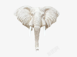 白色大象头装饰壁挂素材