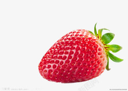 摄影新鲜的草莓素材
