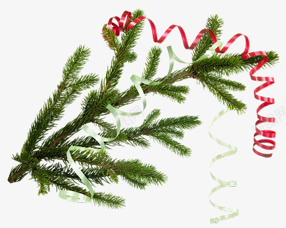 圣诞装饰松针彩带png免抠素材_新图网 https://ixintu.com 圣诞 彩带 松针 装饰