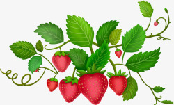 手绘草莓植物树叶素材
