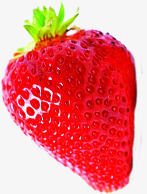 合成手绘红色鲜艳的草莓素材