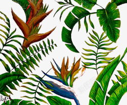 彩绘花纹长尾鸟手绘绿色叶子图案高清图片
