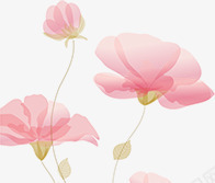 手绘粉色花卉新年贺卡png免抠素材_新图网 https://ixintu.com 新年 粉色 花卉 贺卡