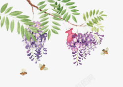 昆虫花朵紫藤花与蜜蜂高清图片