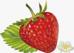 精美水果草莓矢量图素材