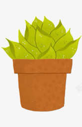 扁方盆栽卡通植物高清图片