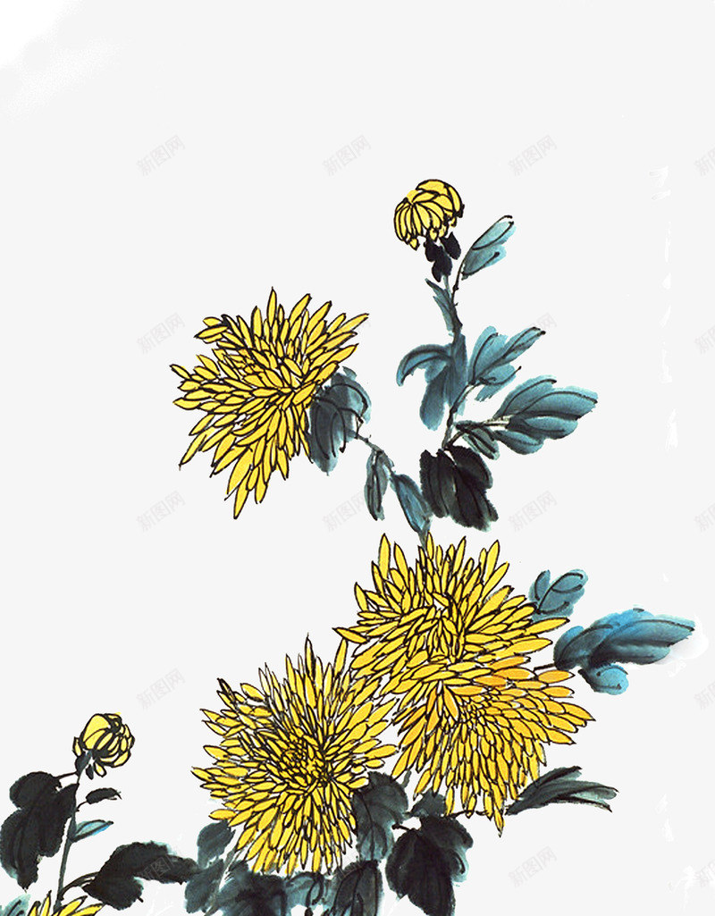 水墨画菊花png图片免费下载-素材0QkkeVegU-新图网