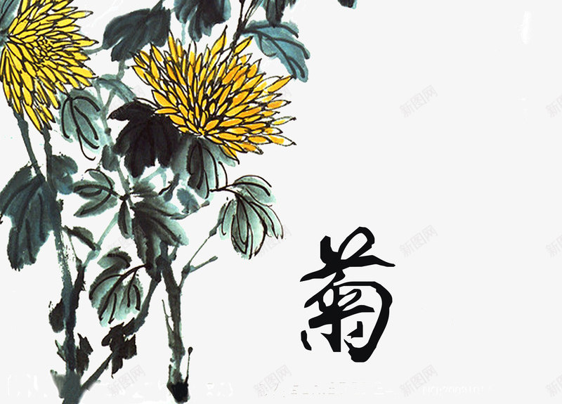 水墨画菊花png免抠素材_新图网 https://ixintu.com 墨菊花 水墨画 漂亮 菊花