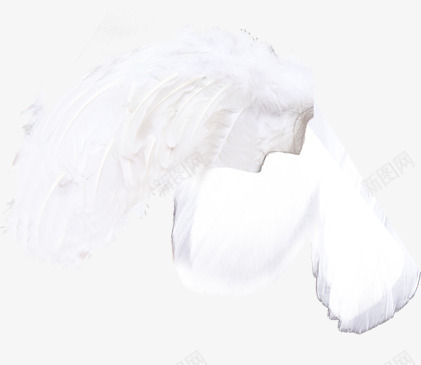创意合成了白色的羽毛效果png免抠素材_新图网 https://ixintu.com 创意 合成 效果 白色 羽毛