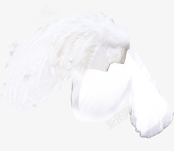 创意合成了白色的羽毛效果素材