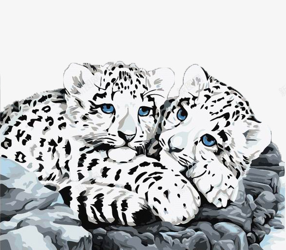两只可爱的小雪豹png免抠素材_新图网 https://ixintu.com 两只 可爱 幼崽 猫科动物 绘画作品 雪貂 食肉动物