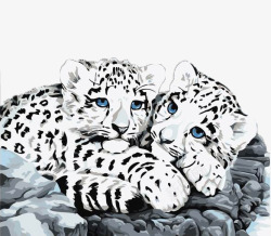 动物画作两只可爱的小雪豹高清图片