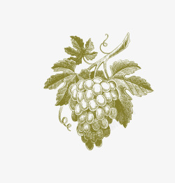 雷东复古素描稿复古葡萄高清图片
