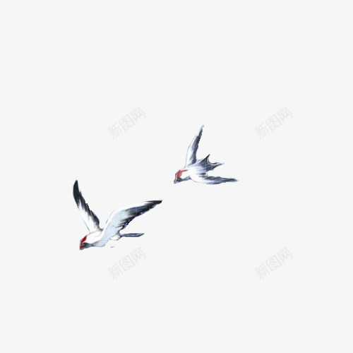 手绘两只飞翔的小鸟png免抠素材_新图网 https://ixintu.com 两只 小鸟 手绘 飞翔