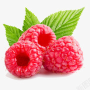莓子梅子高清图片