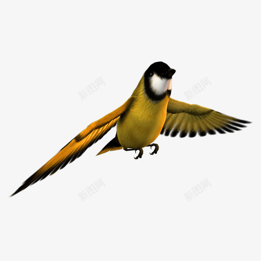 飞翔的小鸟png免抠素材_新图网 https://ixintu.com 卡通 小鸟 手绘 白色的 羽毛 翅膀 飞翔 黄色的