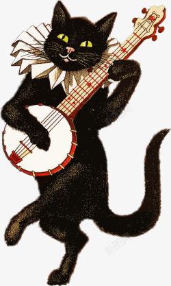 正在弹吉他的猫素材