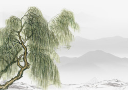中国风水墨画柳树植物素材