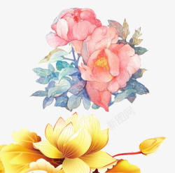 金莲水彩粉色花朵高清图片