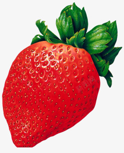 水果草莓手绘素材
