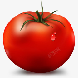 Tomato番茄水果ParadiseFruitIconSet图标高清图片