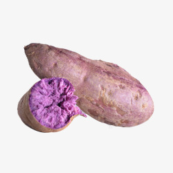 营养的紫薯元素素材