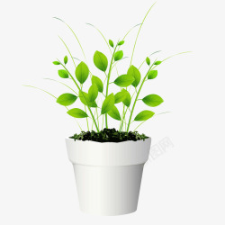 绿色盆栽植物矢量图素材