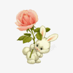 玫瑰兔子玫瑰花兔子拿着玫瑰花装饰高清图片