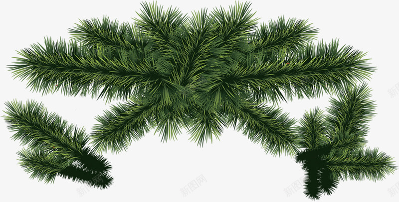 创意圣诞节元素绿色植物png免抠素材_新图网 https://ixintu.com 元素 创意 圣诞节 绿色植物