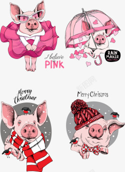 4款手绘新年圣诞猪矢量图素材