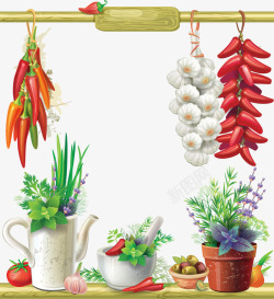 辣椒和大蒜植物素材